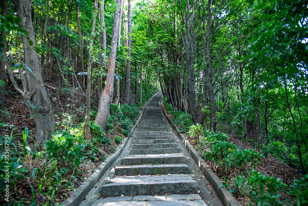 中国广州南沙黄山麓森林公园登山石阶