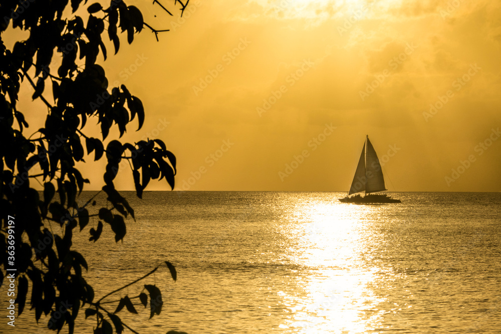 特写：日落时，船沿着巴巴多斯平静的海岸航行的美景