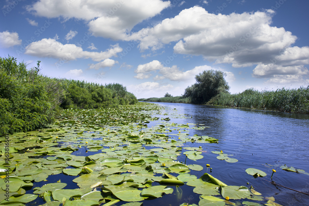 炎热的夏日，蓝天白云，多瑙河三角洲景观，有运河和植被