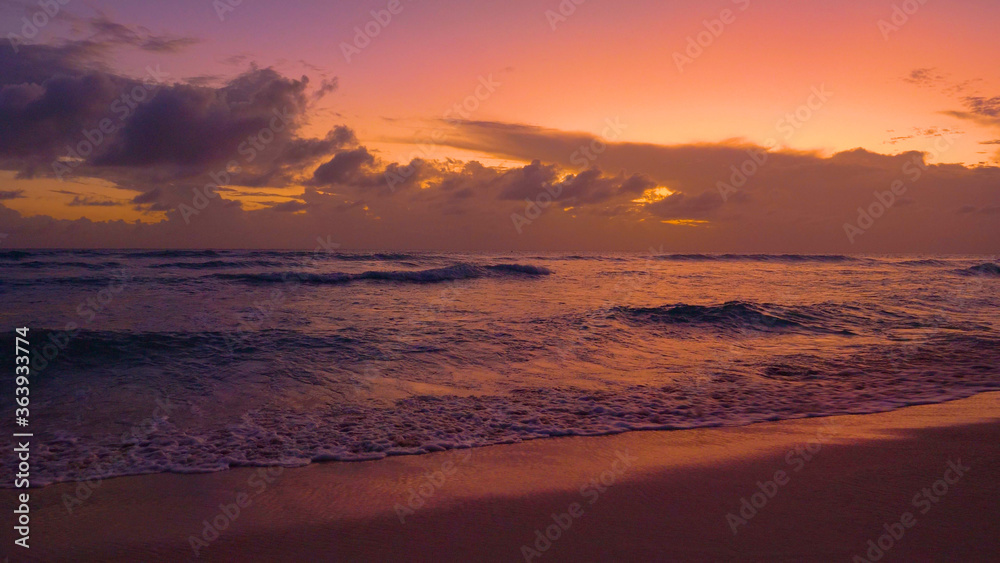 在一个阳光明媚的夜晚，小波浪向一个热带岛屿滚滚而来。
