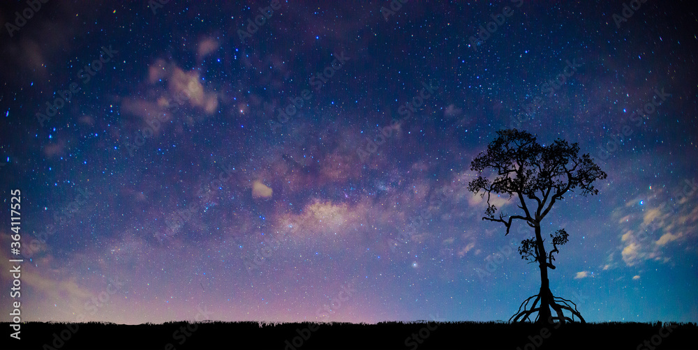 Panorama blue night sky milky way and star on dark background.Universe filled, nebula and galaxy wit