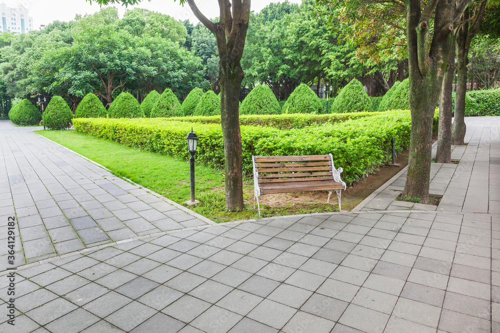 城市公园角落里有一个小广场和木长椅的绿色花园景观