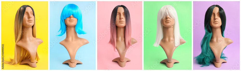 彩色背景下戴着不同女性假发的人体模型