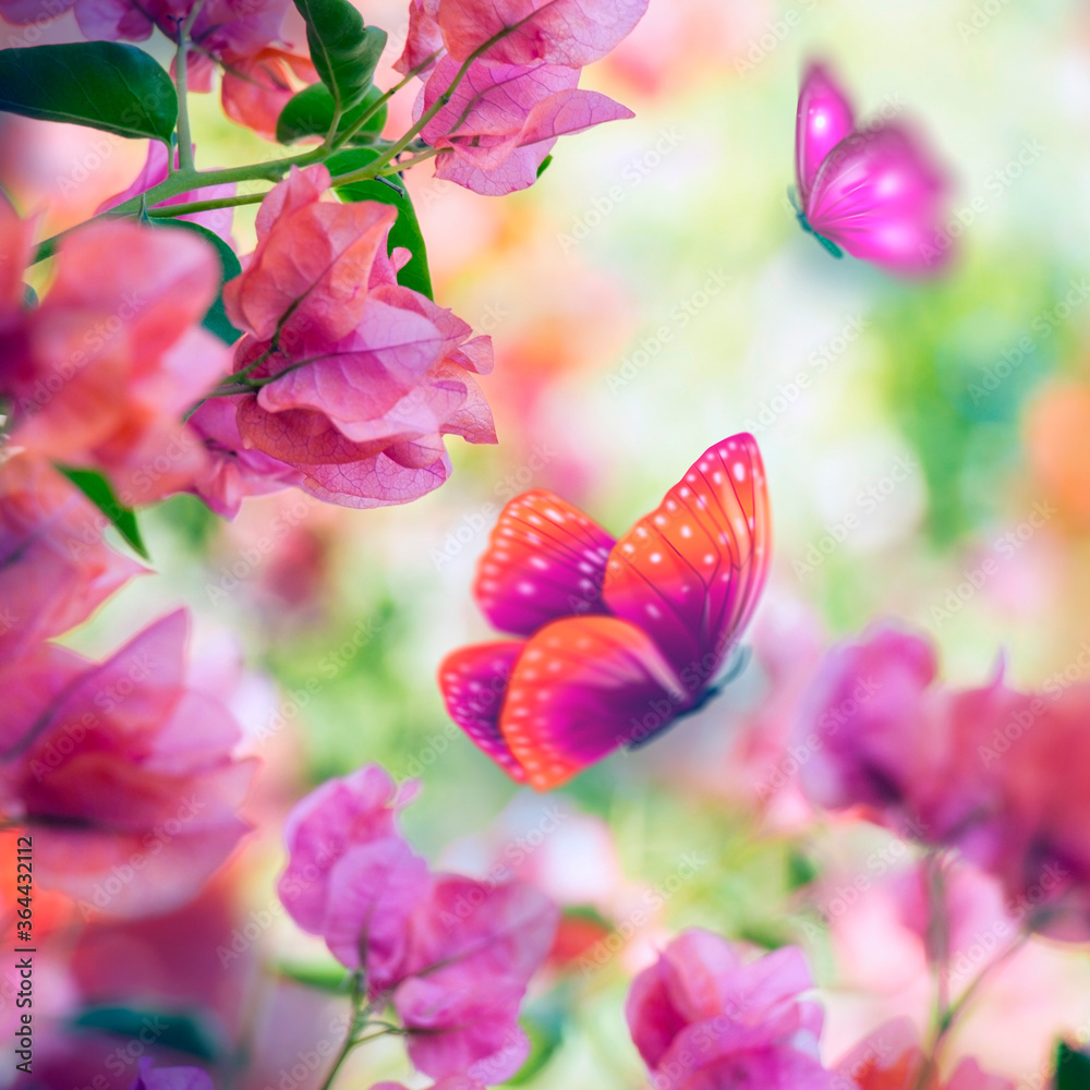 粉色花朵上的蝴蝶