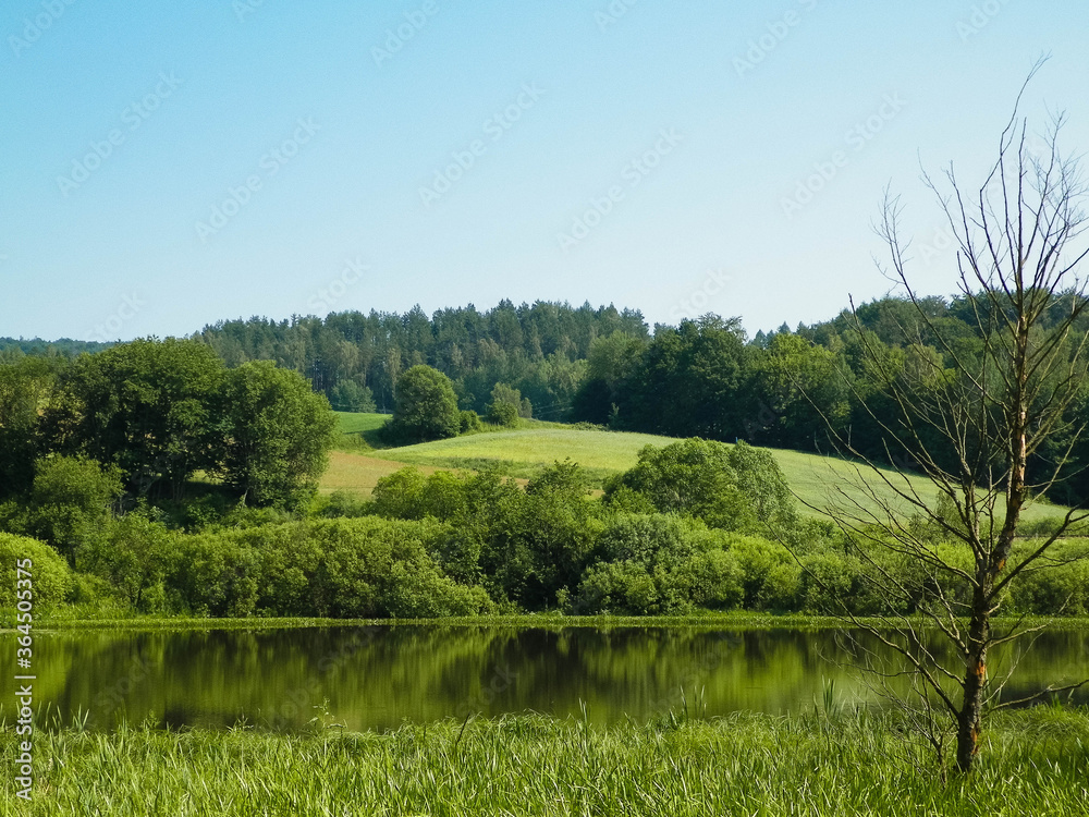 波兰卡舒比亚地区维日卡的小湖。
