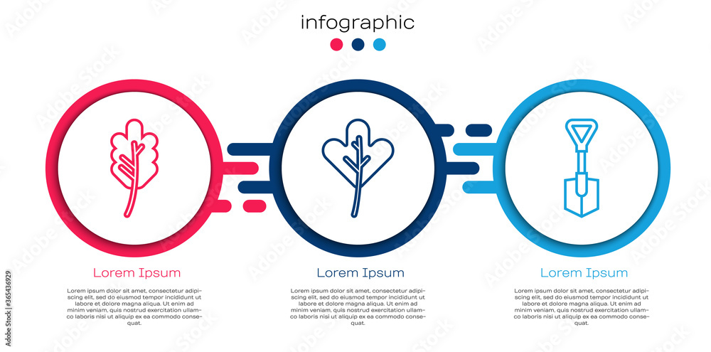 Set line Leaf or leaves, Leaf or leaves and Shovel. Business infographic template. Vector.