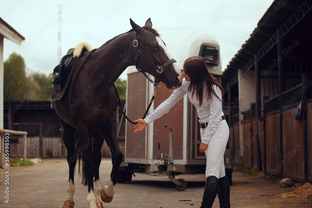 马术运动——年轻女孩骑马。