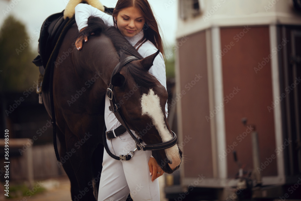 马术运动-年轻女孩骑马。
