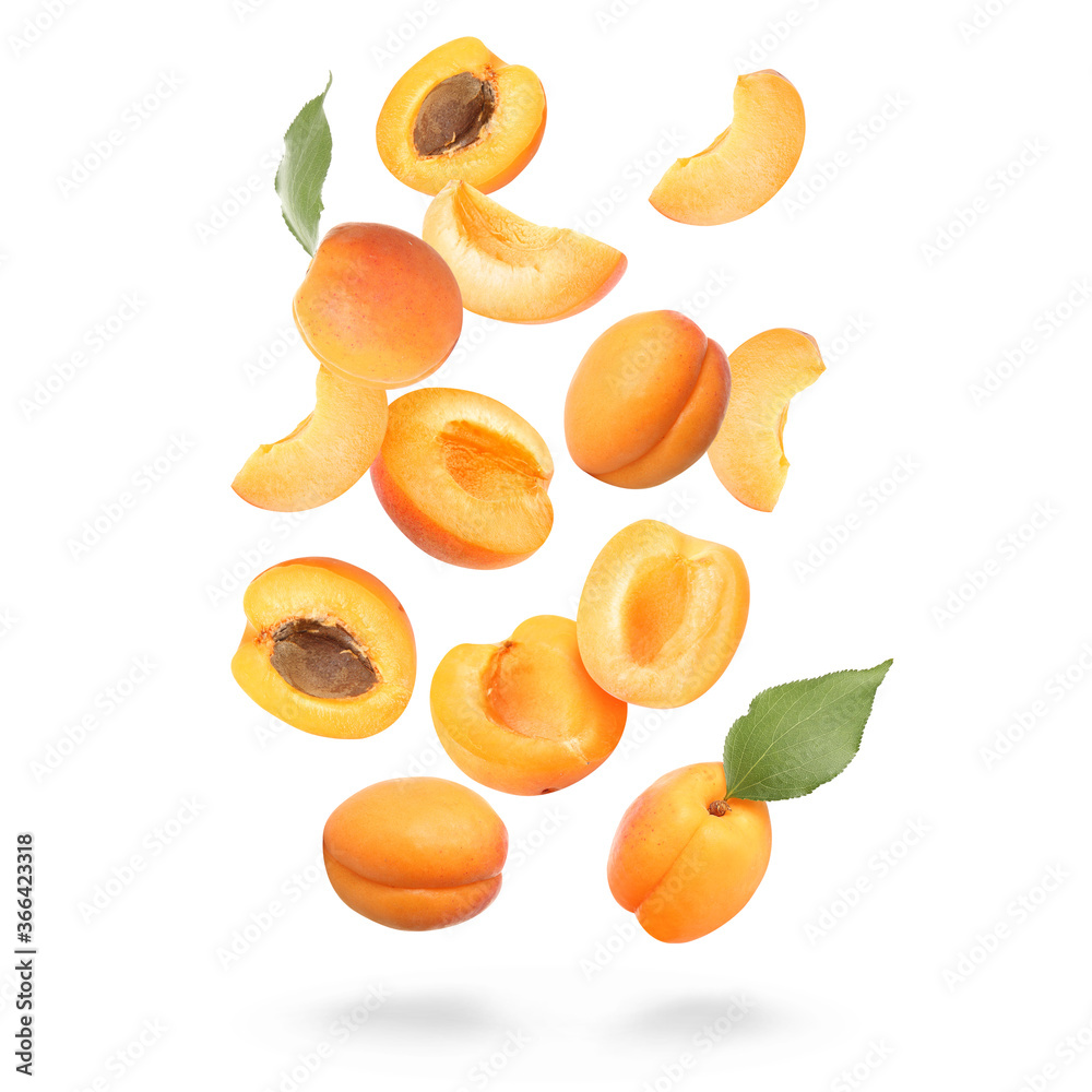 白底落熟杏子