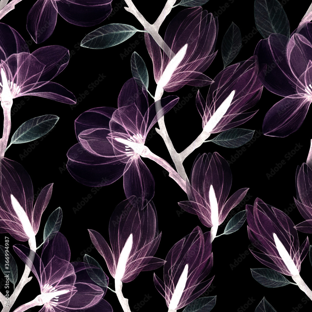 黑色背景上的无缝图案透明木兰花。帕斯州的透明粉色花朵