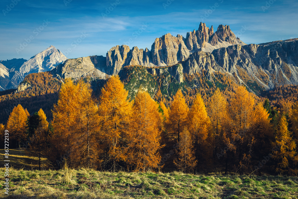 背景是秋天五颜六色的落叶松森林和山脊，白云石