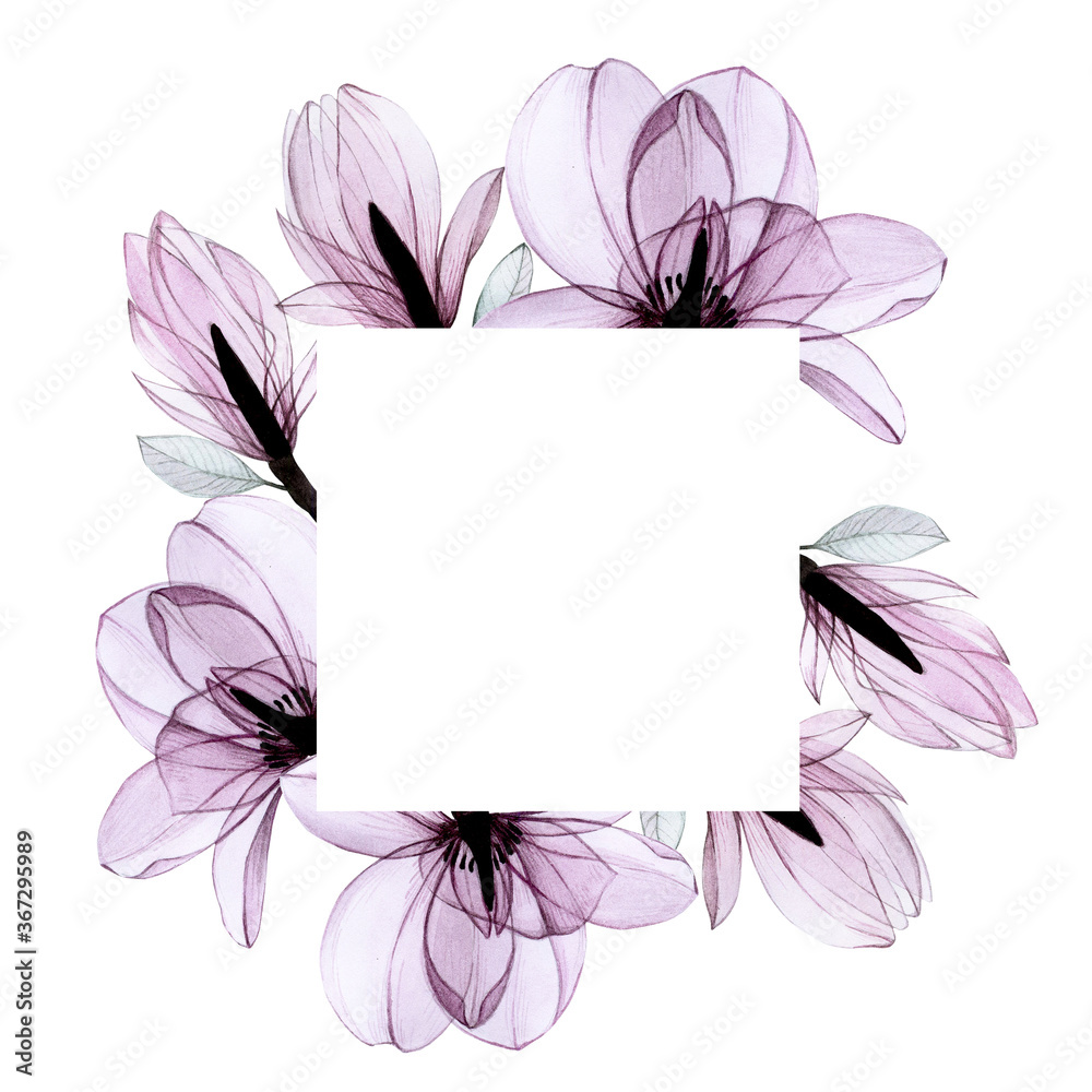 watercolor drawing, square frame with transparent magnolia flowers, pink transparent flowers in past