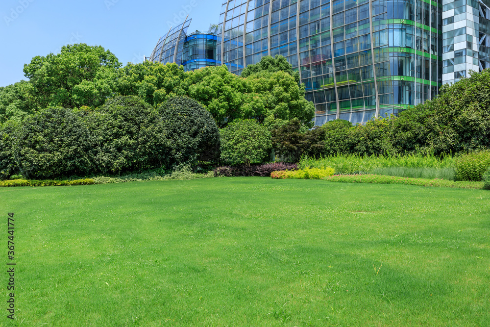 中国上海的绿草与现代商业建筑。