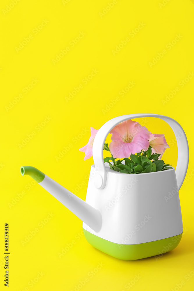 彩色背景上有花朵的水罐