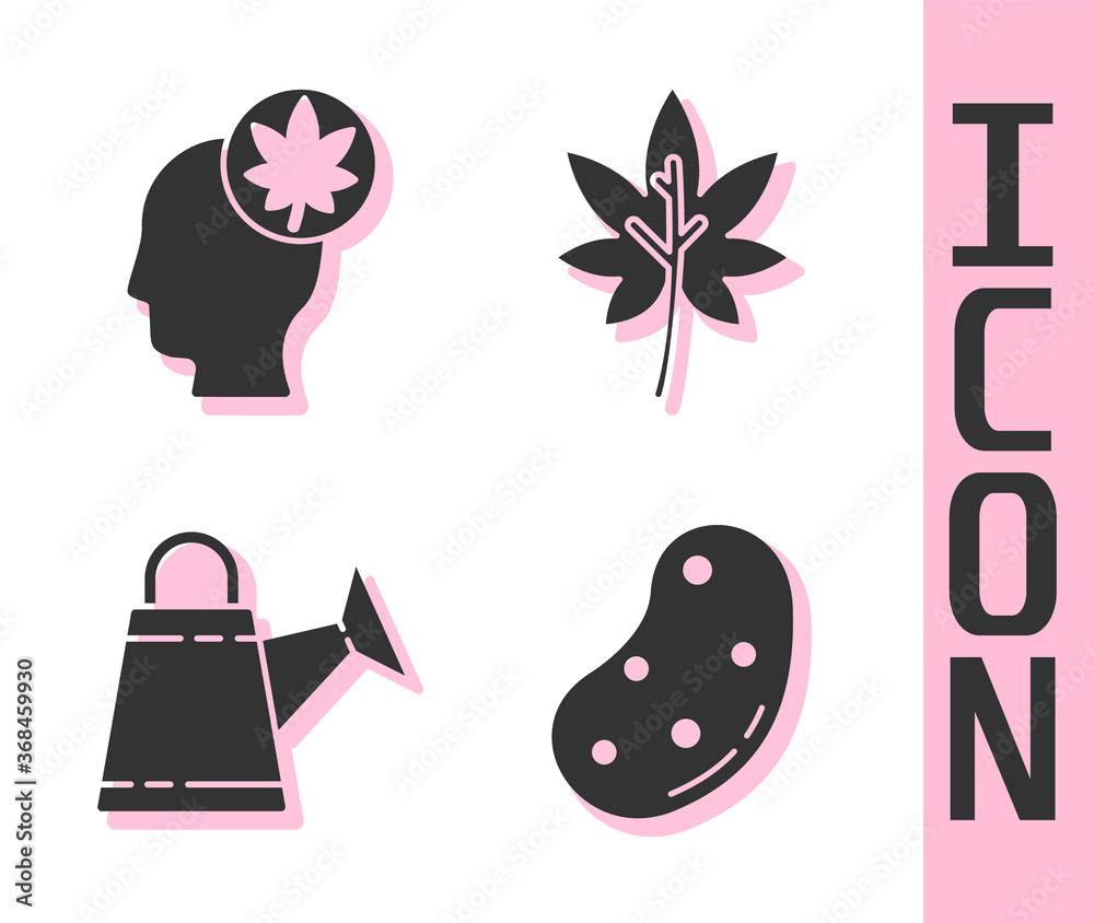 Set Potato, Human head with leaf, Watering can and Leaf or leaves icon. Vector.