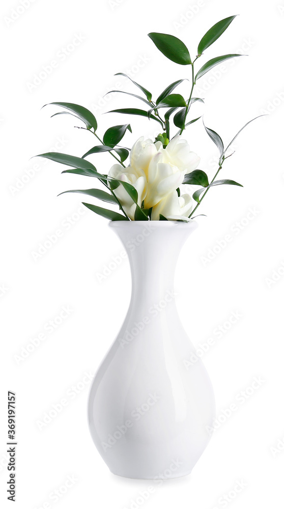 美丽的白底花瓶