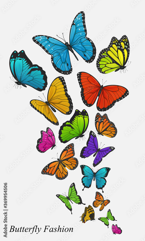 彩色蝴蝶矢量插图背景