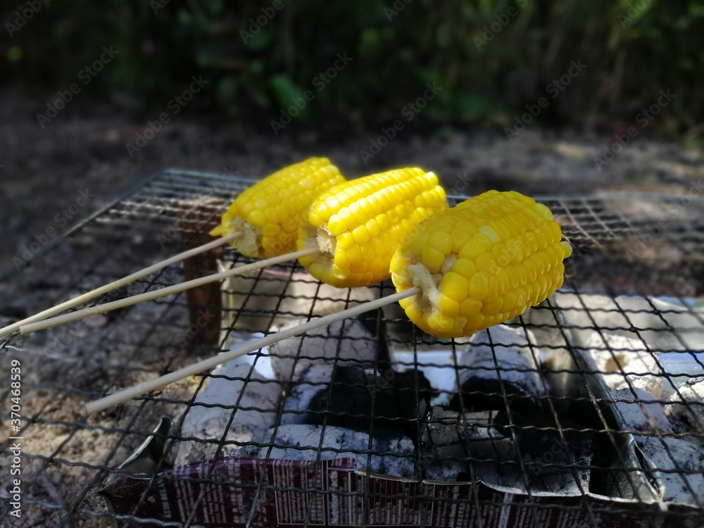Outdoor camp fire and cooking