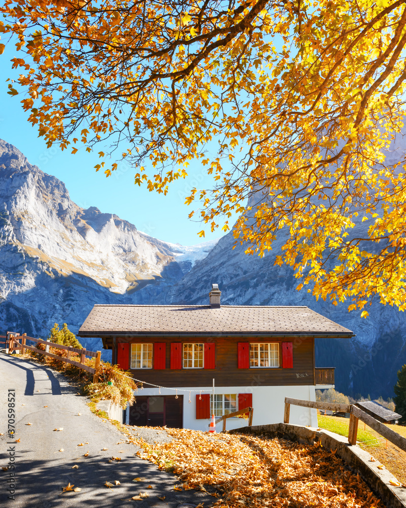 瑞士山区秋色如画。传统的木屋和黄色的树叶
