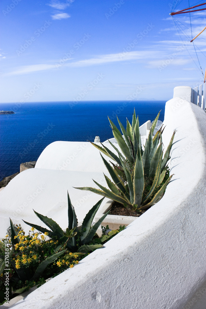 地中海景观设计：海水背景下的白色水洗墙和种植床