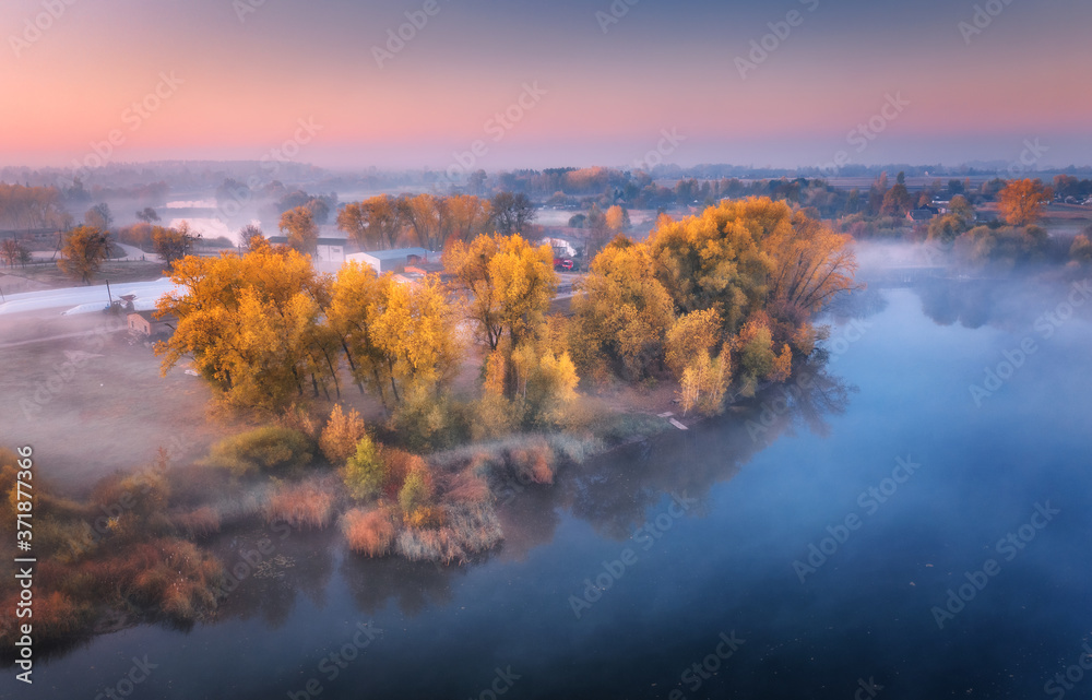 秋天日出时，河岸上雾蒙蒙的树木鸟瞰图。森林的彩色景观i