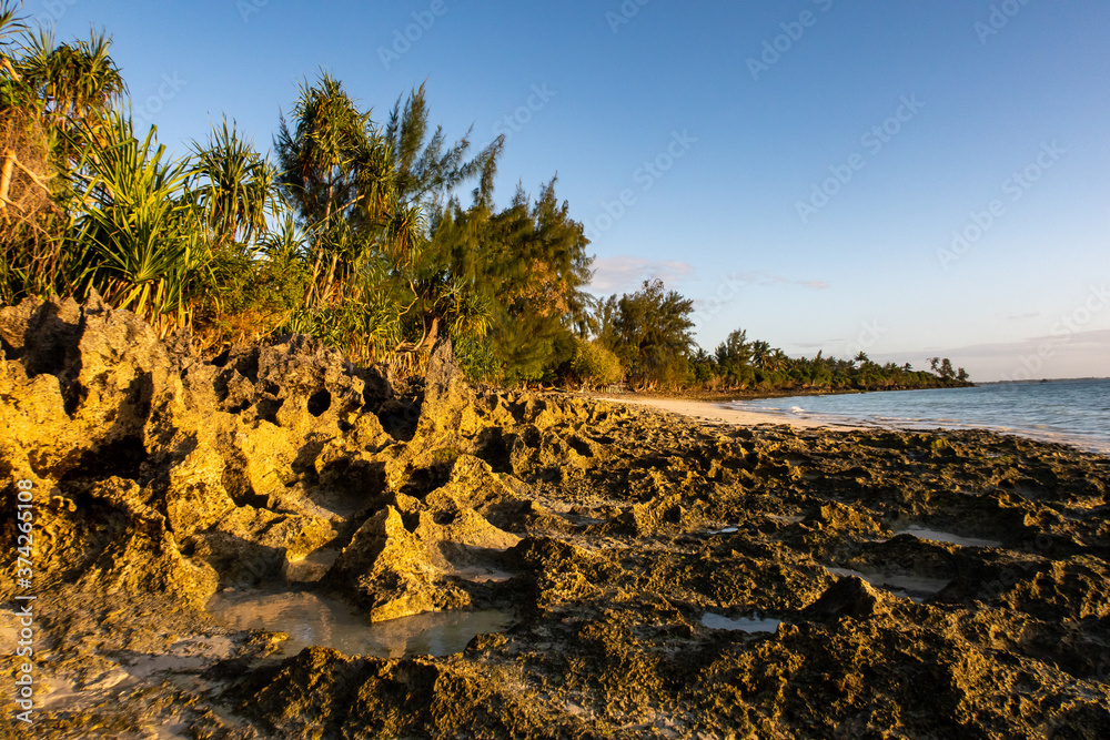 之前的黄金时段，岩石和沙质的空旷海滩上有热带植物和棕榈树