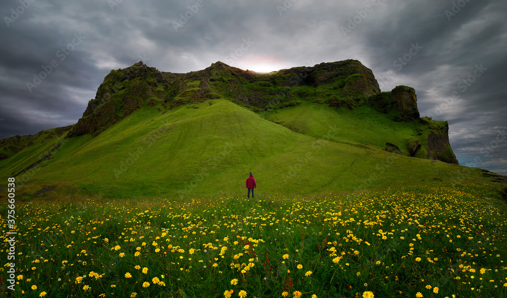 背景为火山山的雏菊绿色山谷
