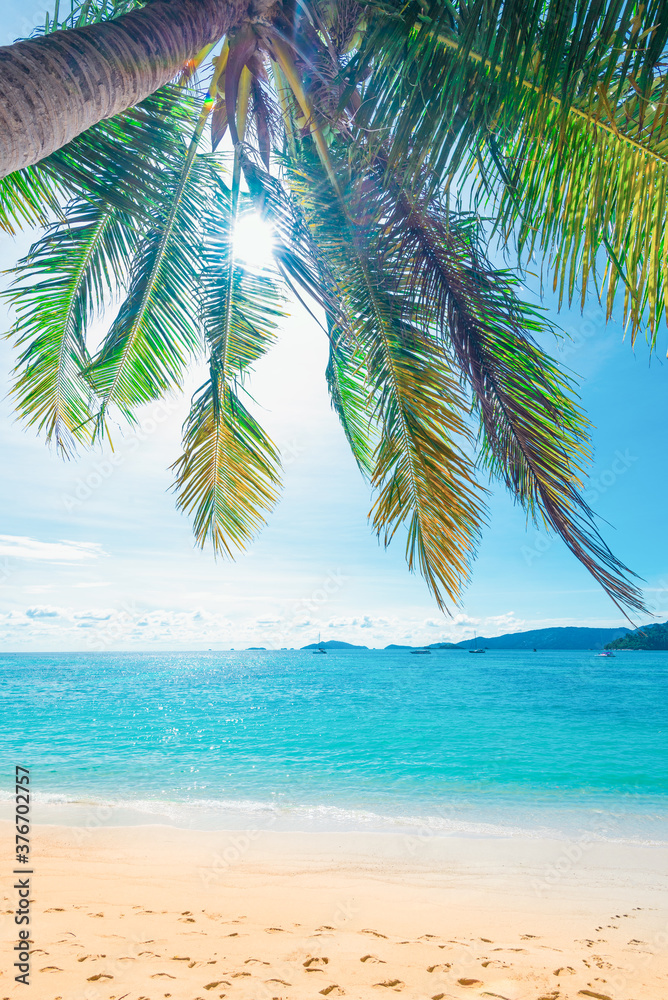 海滩上的椰子树，背景是蓝天和美丽的热带海滩