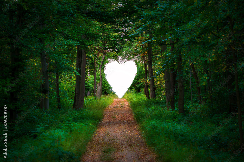 通往森林空地的笔直小路形成了一颗心