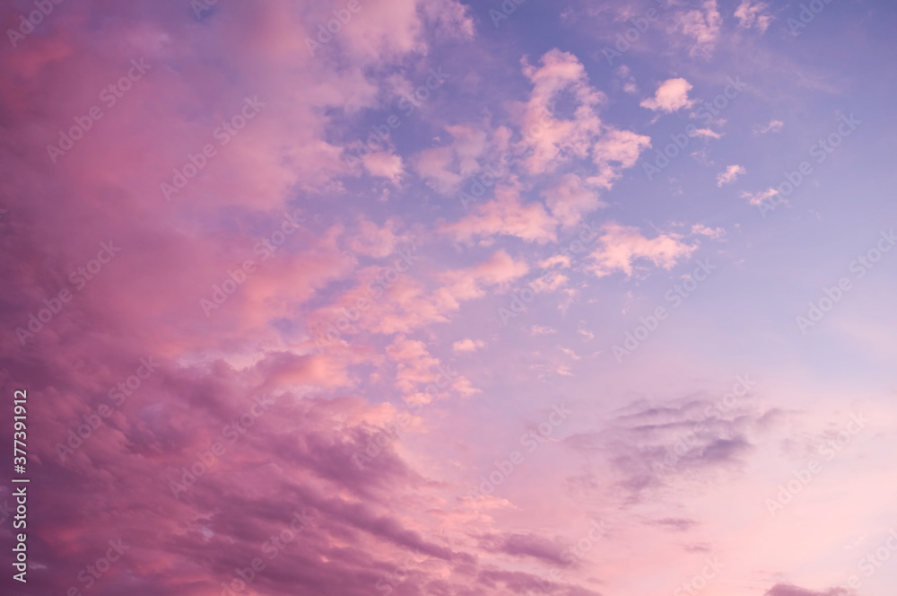 美丽的粉红色天空背景。日落时柔和的云朵。许多蓝色、品红色和橙色色调和图案