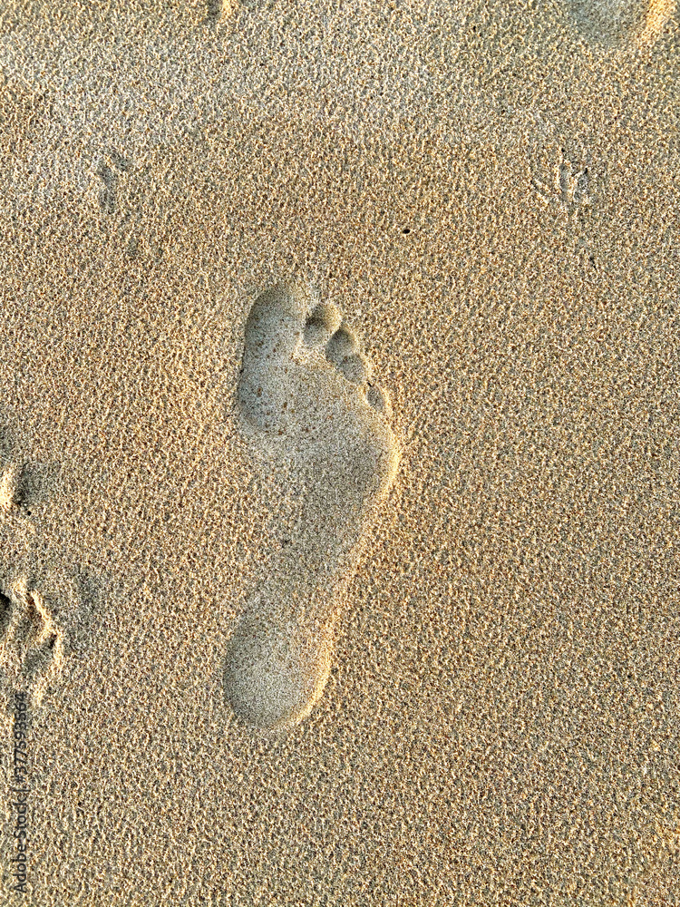 沙子里的足迹