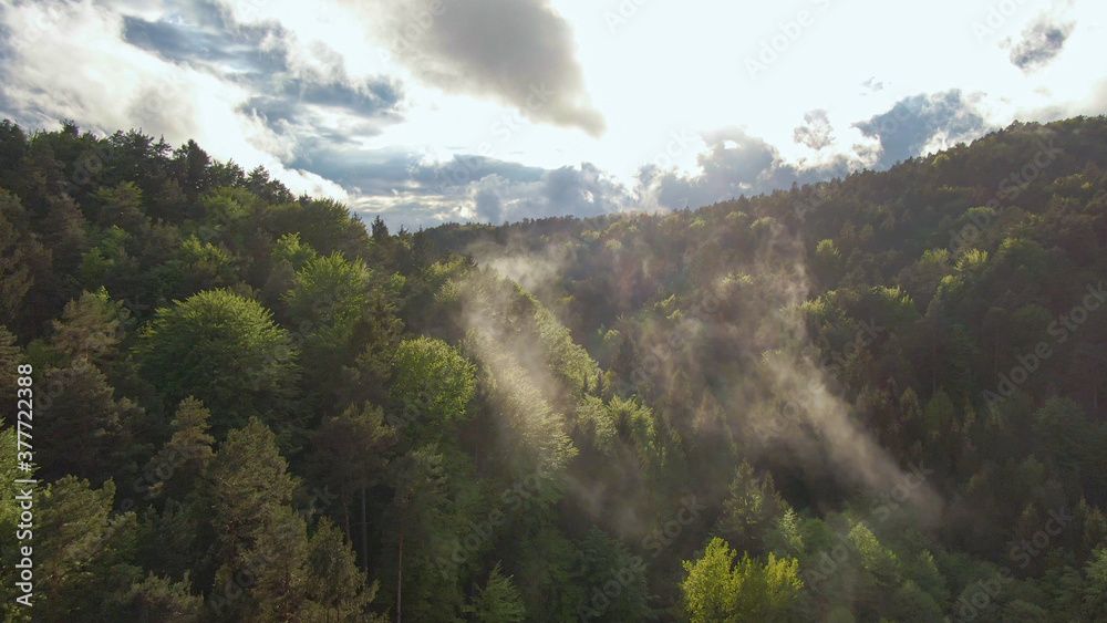 AERIAL: Mist rises from the dark green forest in Slovenia after summer rain.