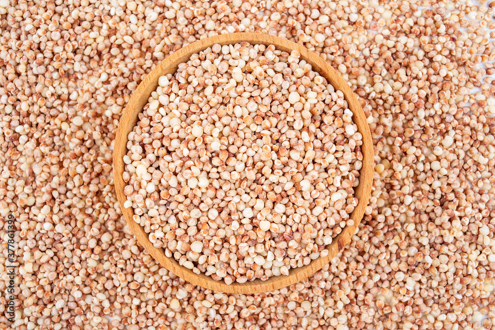 谷物、谷物、高粱、大米全屏显示