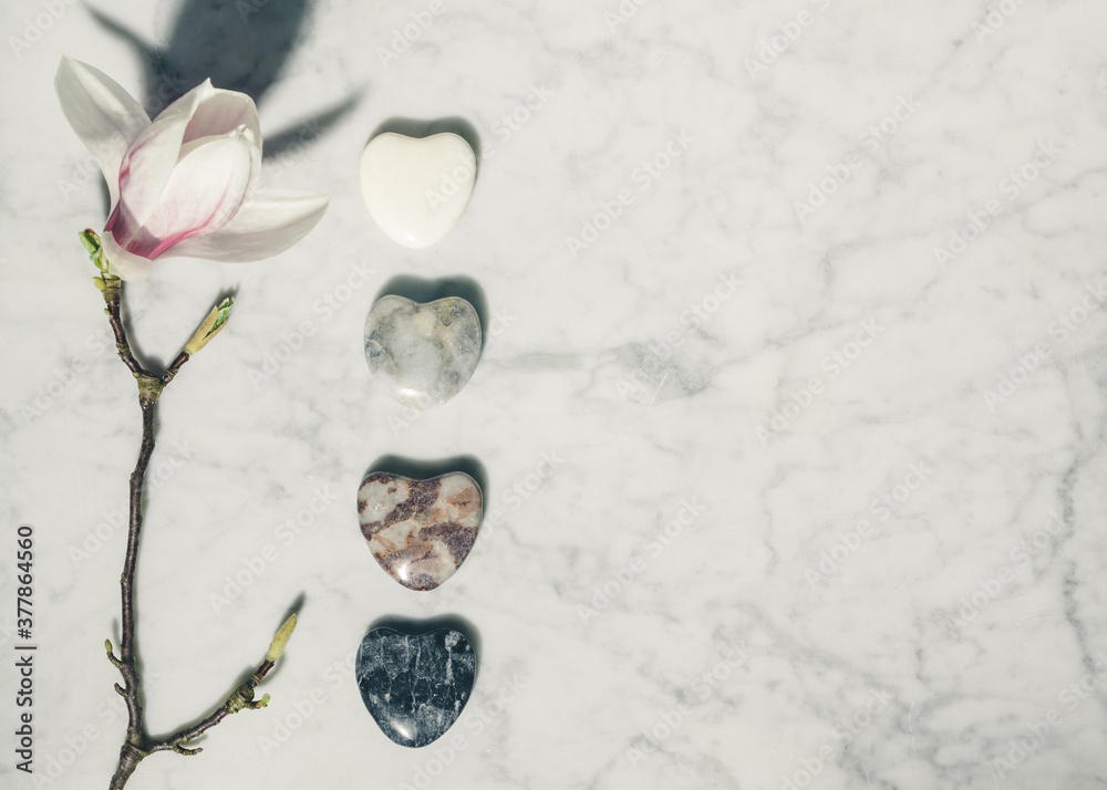 平躺构图，美丽的春天木兰花和白色大理石背景上的灰色石头