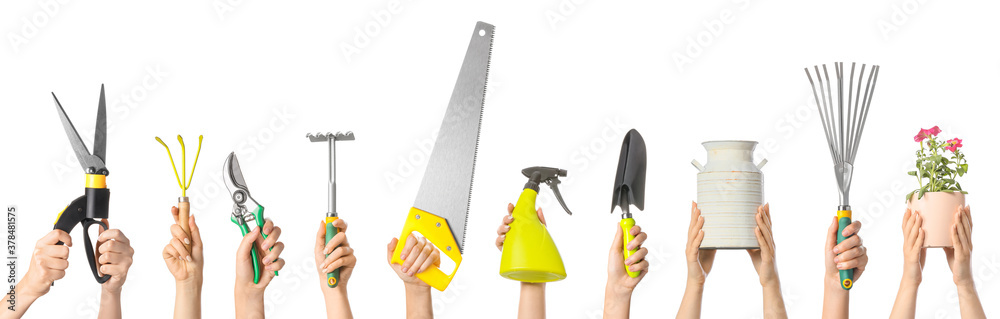 Female hands with gardening tools and houseplant on white background