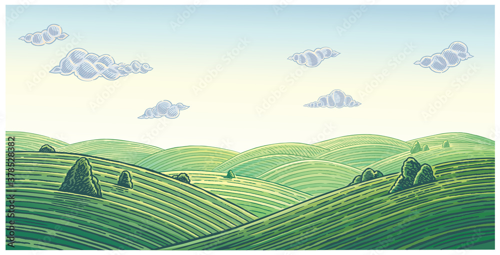 Summer landscape with hills and clouds, vector illustration.