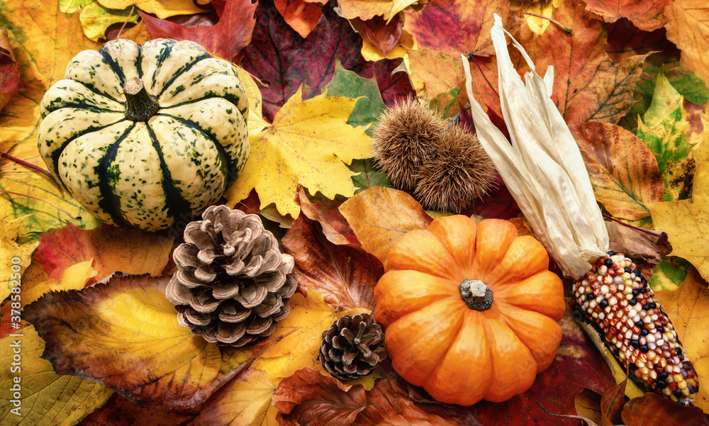 Autumn decoration arranged with natural items such as colorful dry leaves, chestnuts, ornamental pum