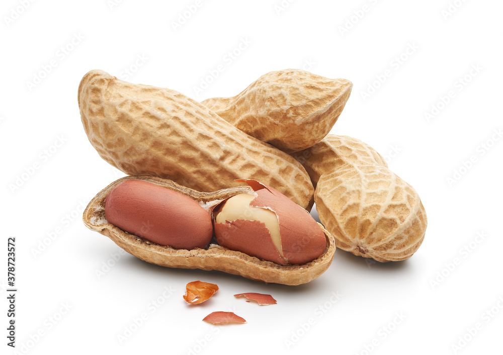 Group of peanuts isolated on white background - clipping path included