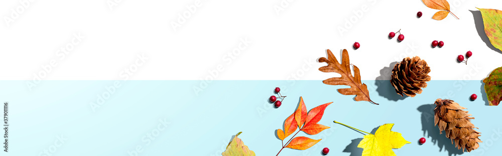 Colorful autumn leaves with pinecones overhead view - flat lay