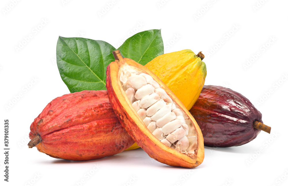 Various of Fresh cocoa fruits with half sliced and green leaf isolated on white background