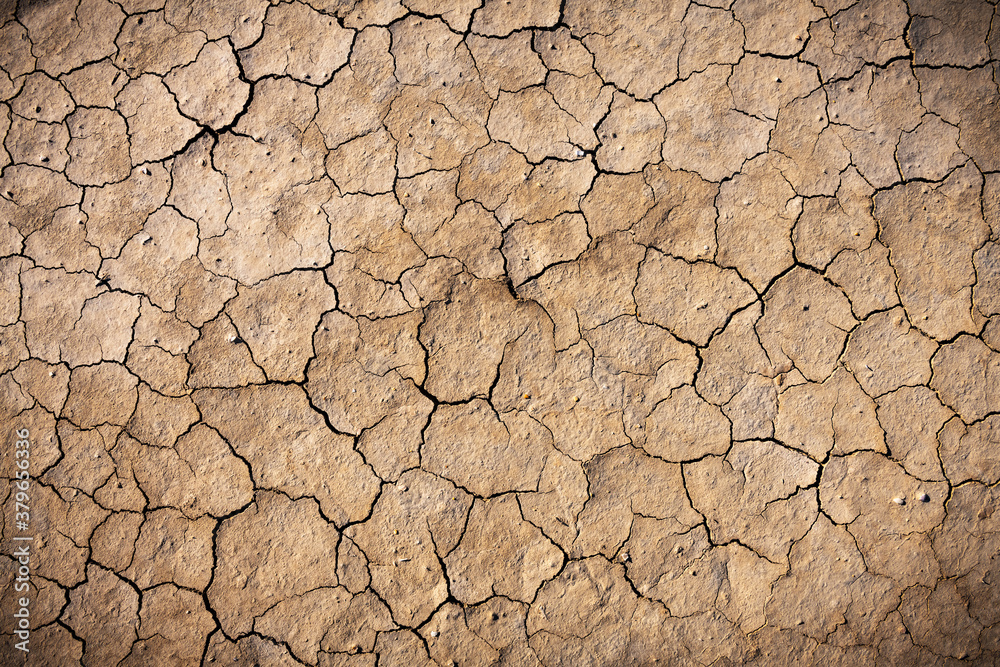 Cracked land texture. Beautiful background for your project