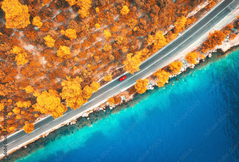 Aerial view of road in beautiful orange forest and blue sea at sunset in autumn. Colorful landscape 