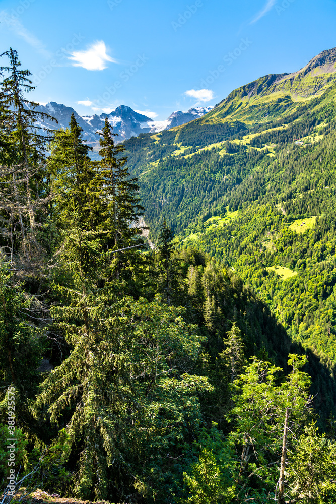 Landscape of the Lauterbrunnen Valley in the Swiss Alps