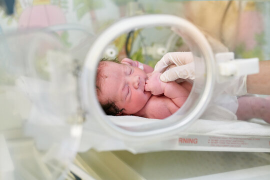 Hand of a pediatrician caring for a newborn in an incubator