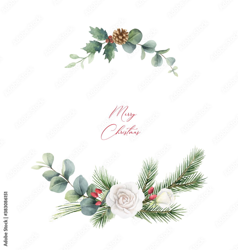 水彩矢量圣诞花环，有冷杉树枝、白玫瑰和桉树。