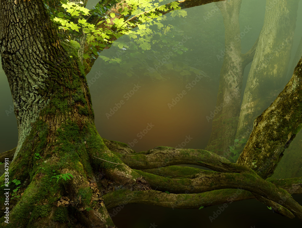 Landscape with old mossy tree, foliage, roots and red mysterious shine