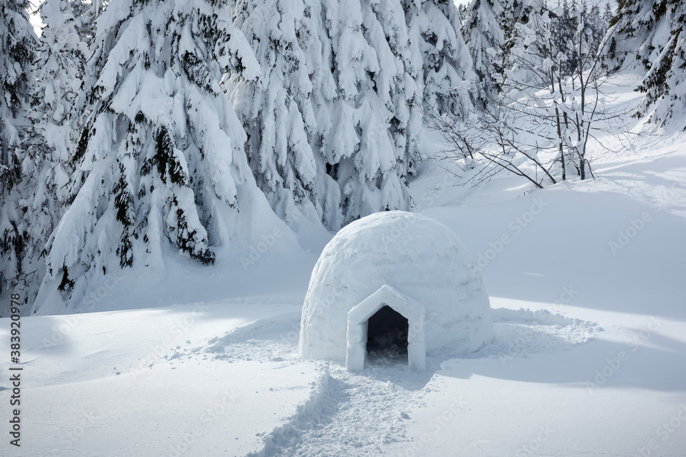 喀尔巴阡山脉冬季的真正雪屋。背景是白雪覆盖的冷杉。土地