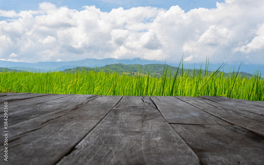old brown wooden floor beside green rice field with cloud sky and copy space use for background conc