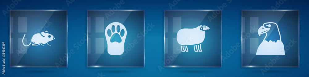 Set Rat, Paw print, Sheep and Eagle head. Square glass panels. Vector.