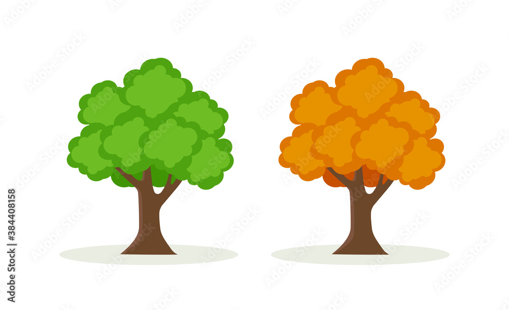 不同季节的树木被隔离在白色背景上。夏季和秋季的树木。绿色和橙色的树木